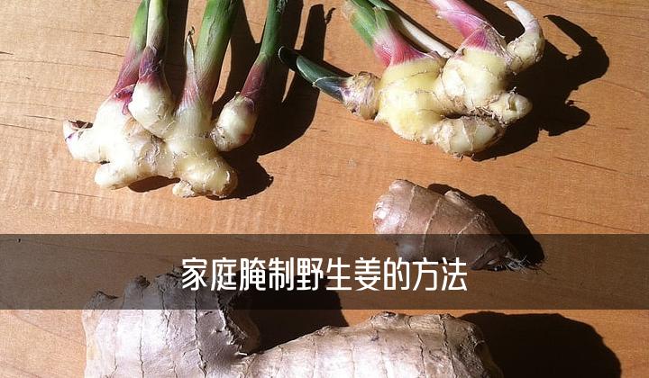 家庭腌制野生姜的方法